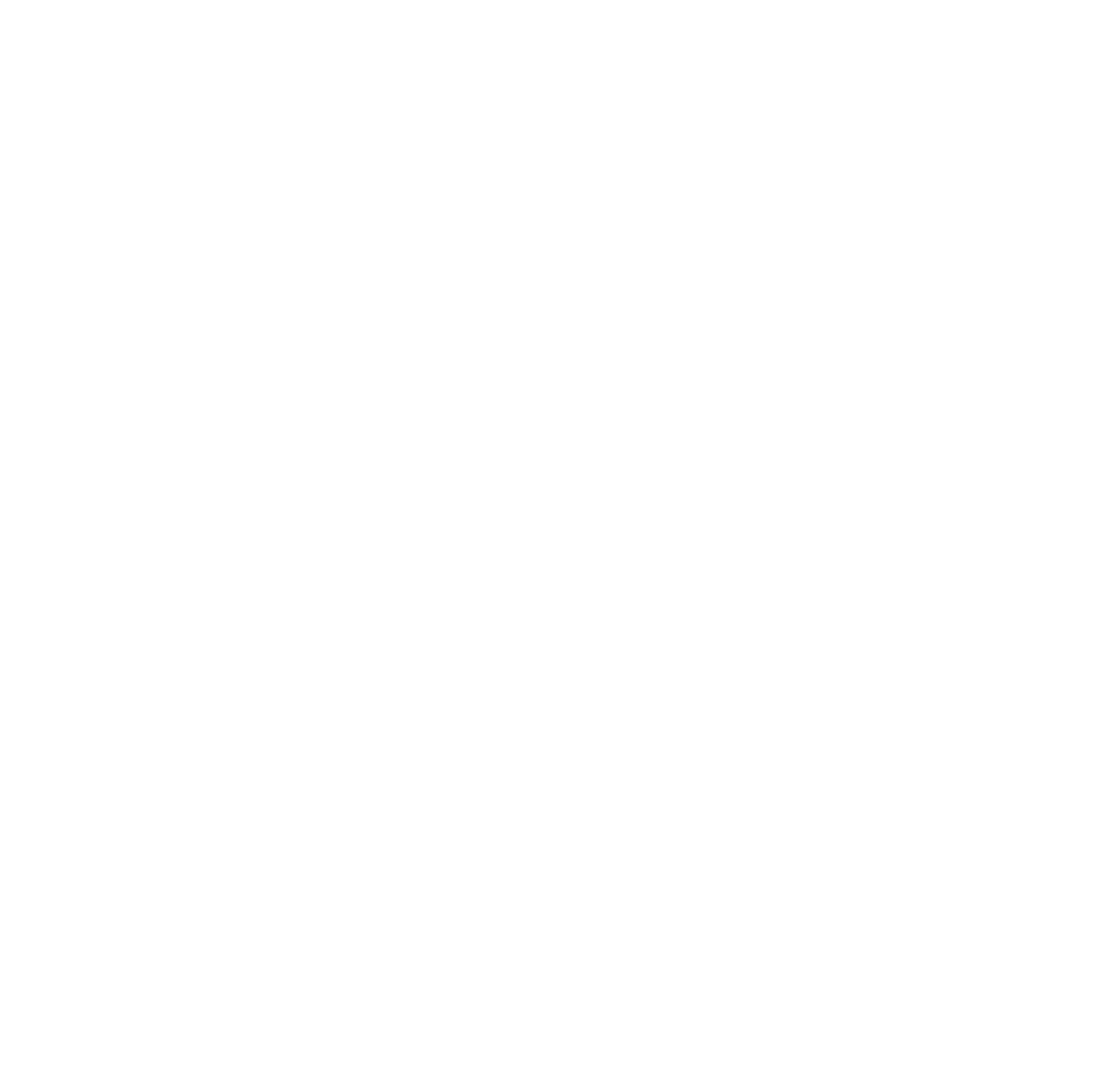 fysio-icon